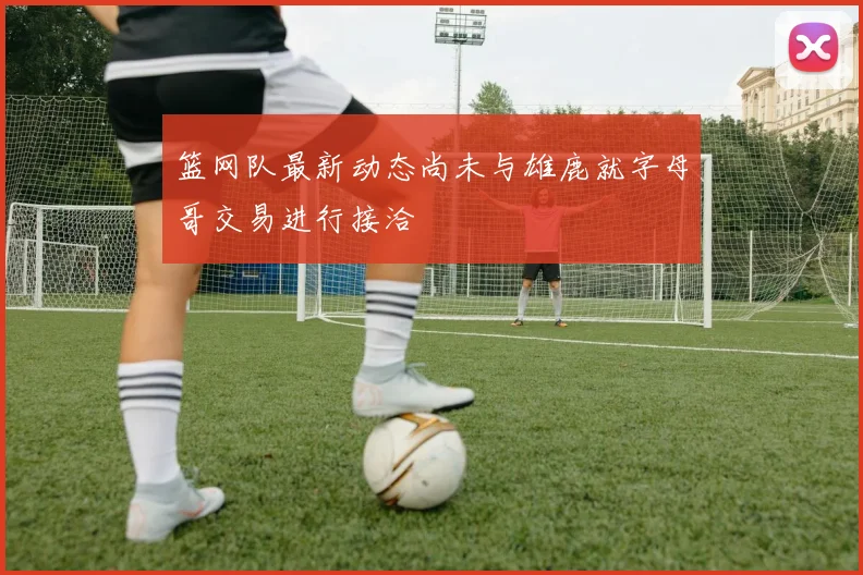 篮网队最新动态尚未与雄鹿就字母哥交易进行接洽