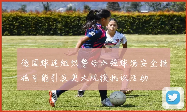 德国球迷组织警告加强球场安全措施可能引发更大规模抗议活动