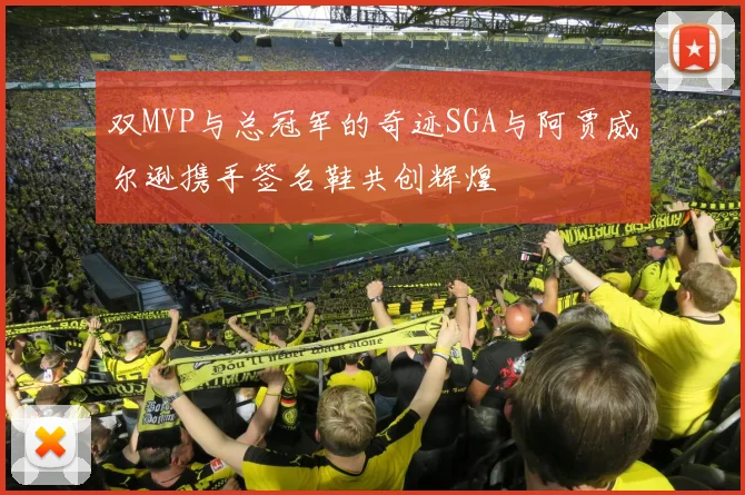 双MVP与总冠军的奇迹SGA与阿贾威尔逊携手签名鞋共创辉煌